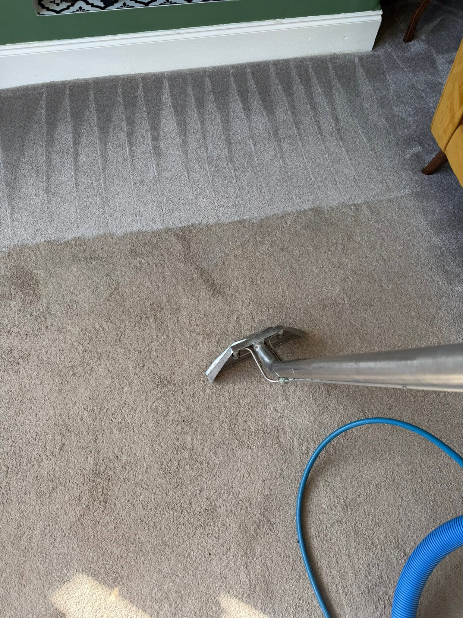 Cleaning wand lifting dirt from a beige carpet