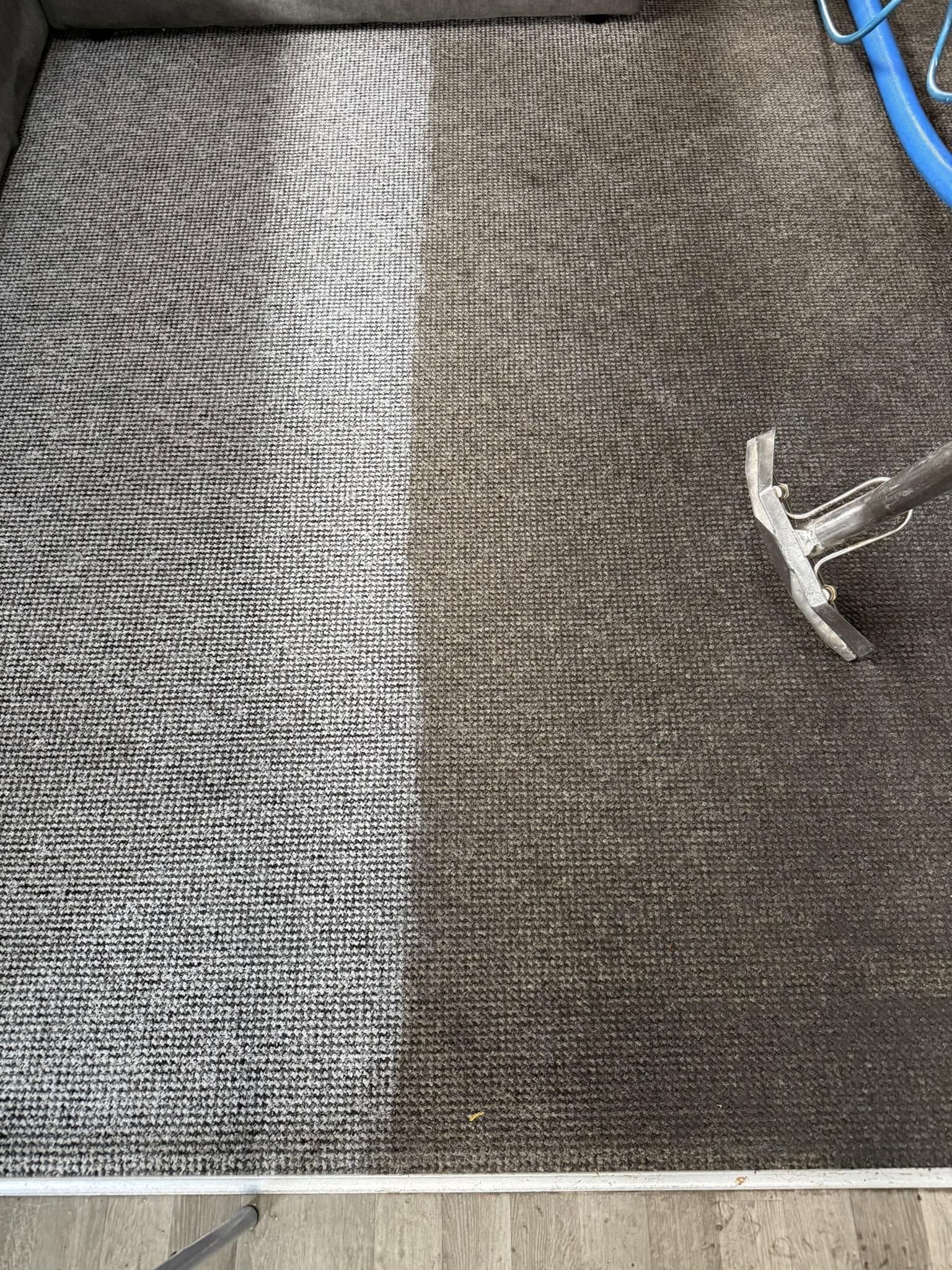 Carpet mid-clean showing a dirty strip next to a freshly cleaned strip
