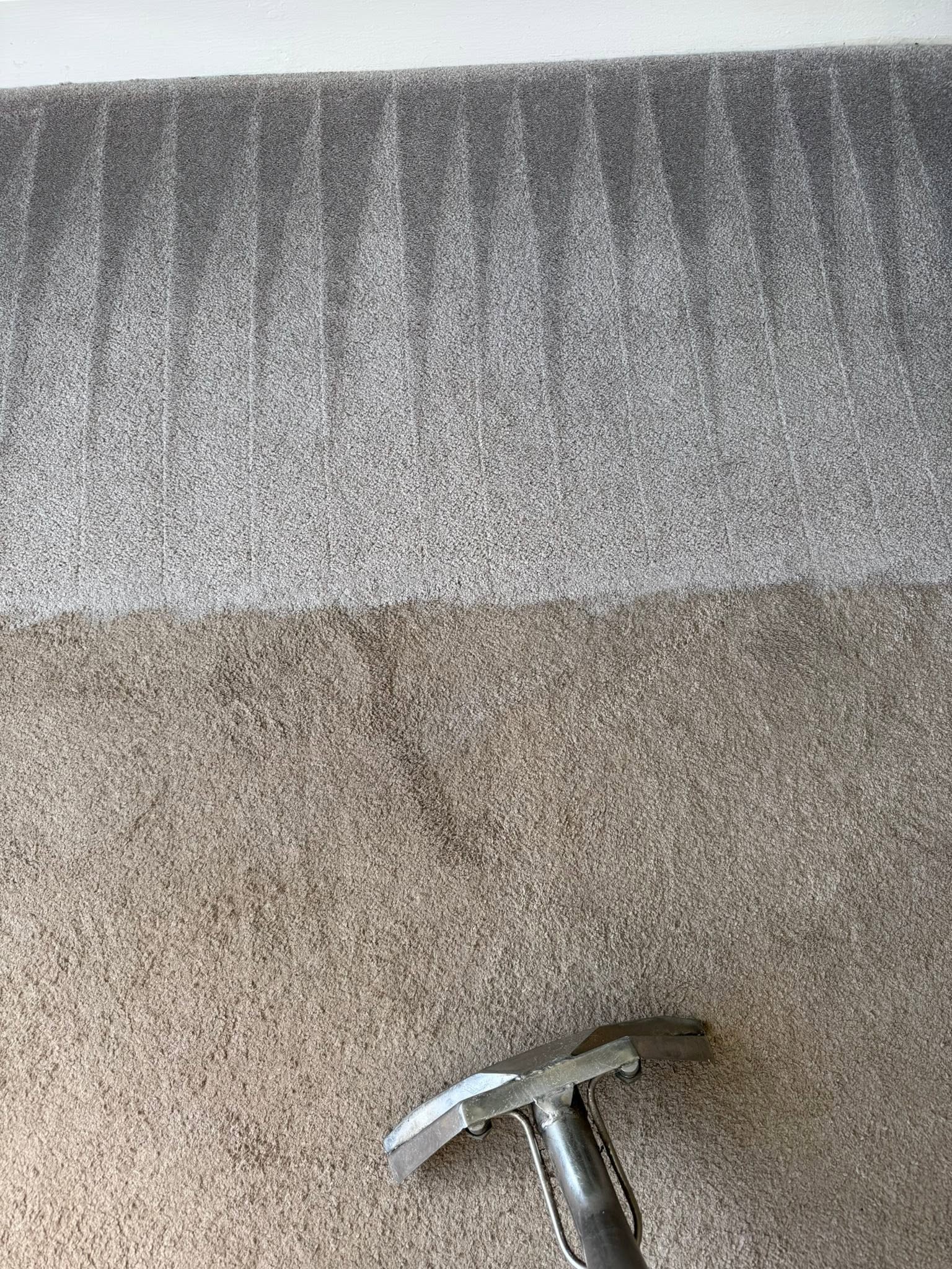 Carpet freshly cleaned with clear extraction lines
